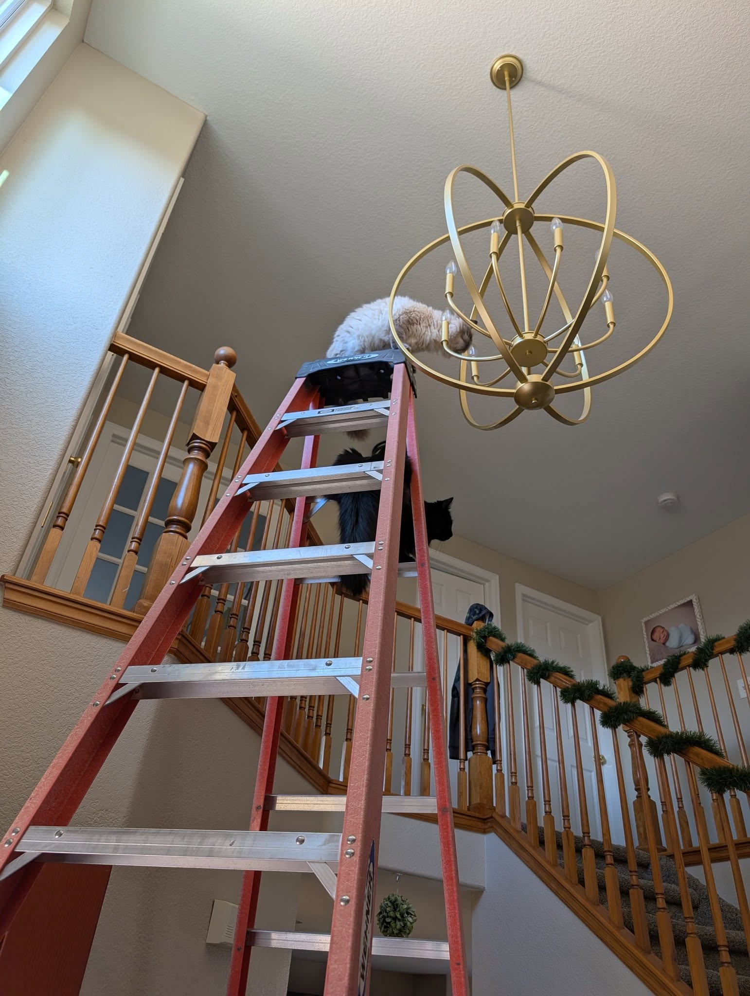 SR Electric project 13