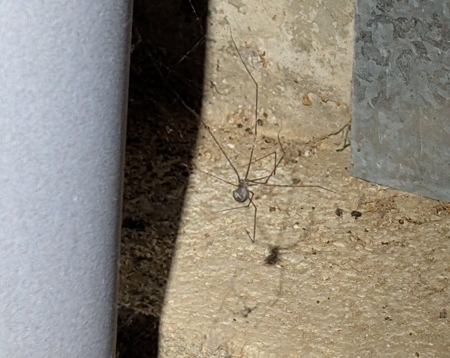 SR Electric project 16