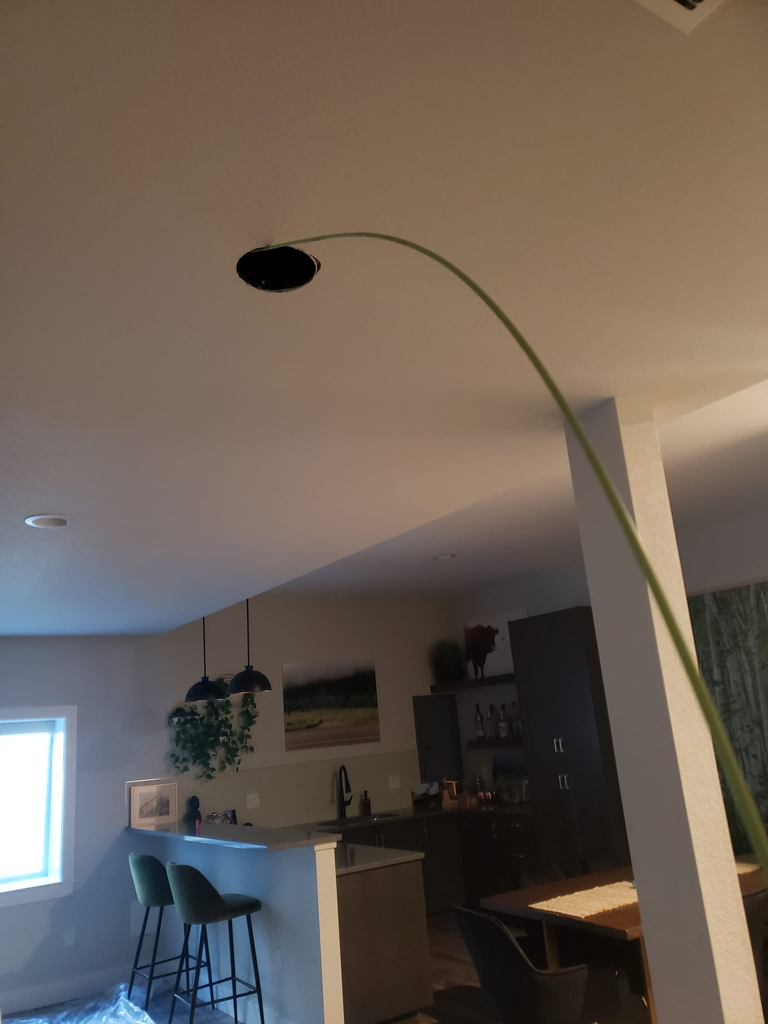 SR Electric project 37